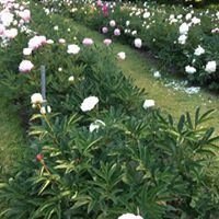 Gilsland Farm Audubon Center - 7