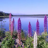 Gilsland Farm Audubon Center - 5