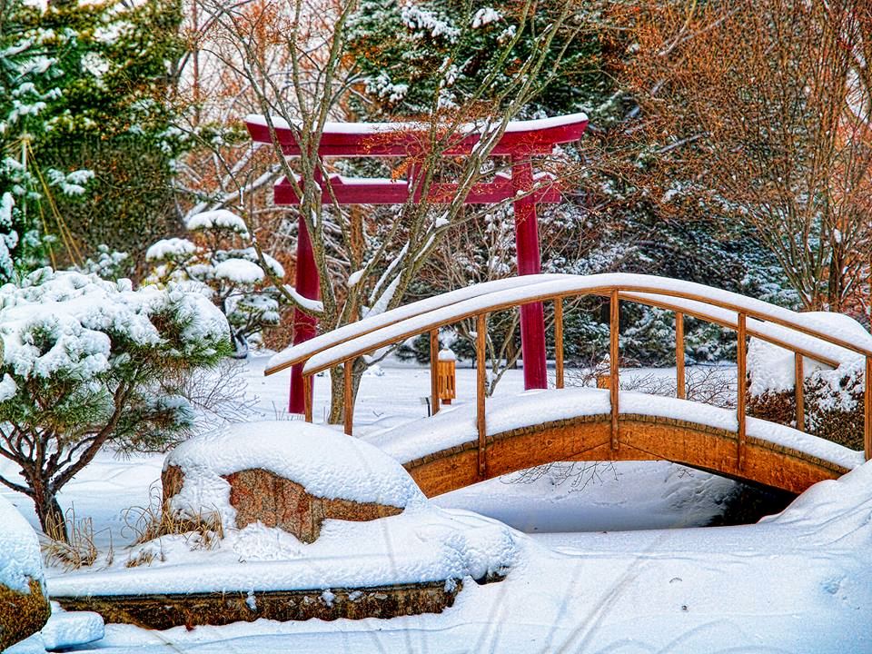 Schedel Arboretum And Gardens - 2