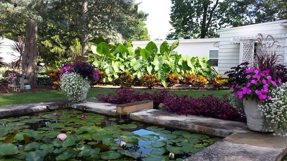 Schedel Arboretum And Gardens - 4