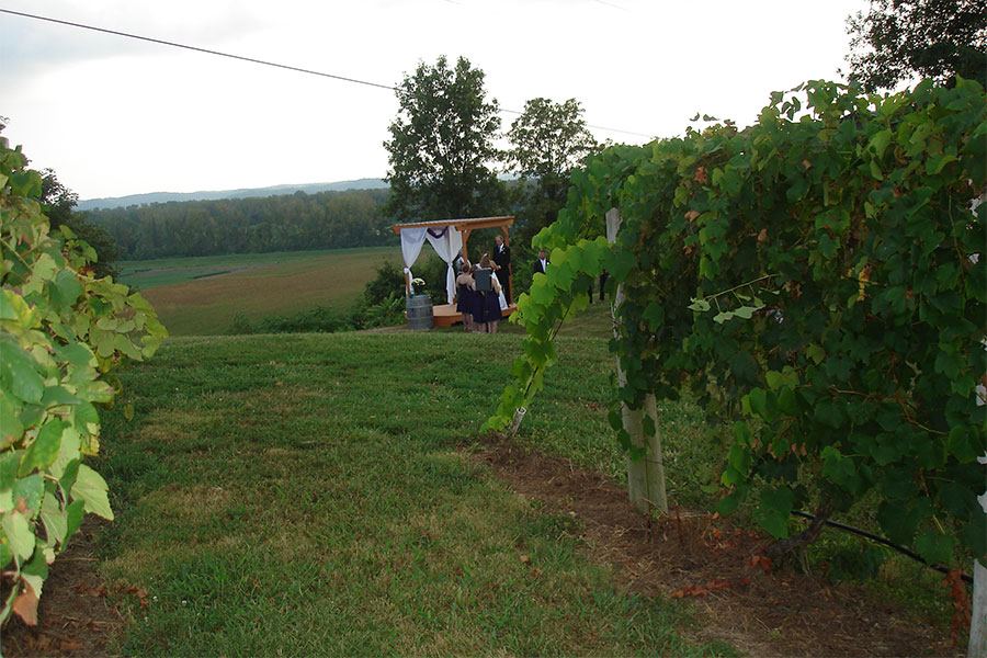 Sugar Creek Vineyards And Winery - 5