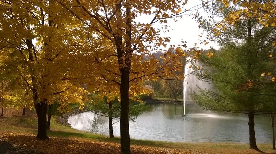 Pyramid Hill Sculpture Park and Museum - 7