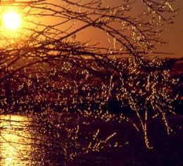 Walter C. Best Preserve, Geauga Park - 1