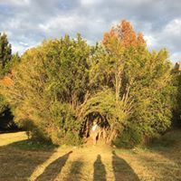 Yew Dell Botanical Gardens - 4