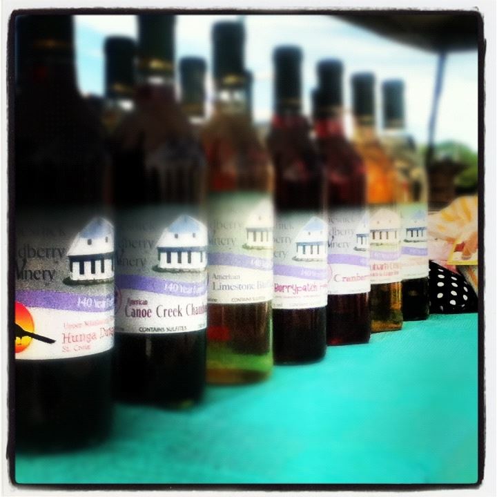 Winneshiek Wildberry Winery - 5