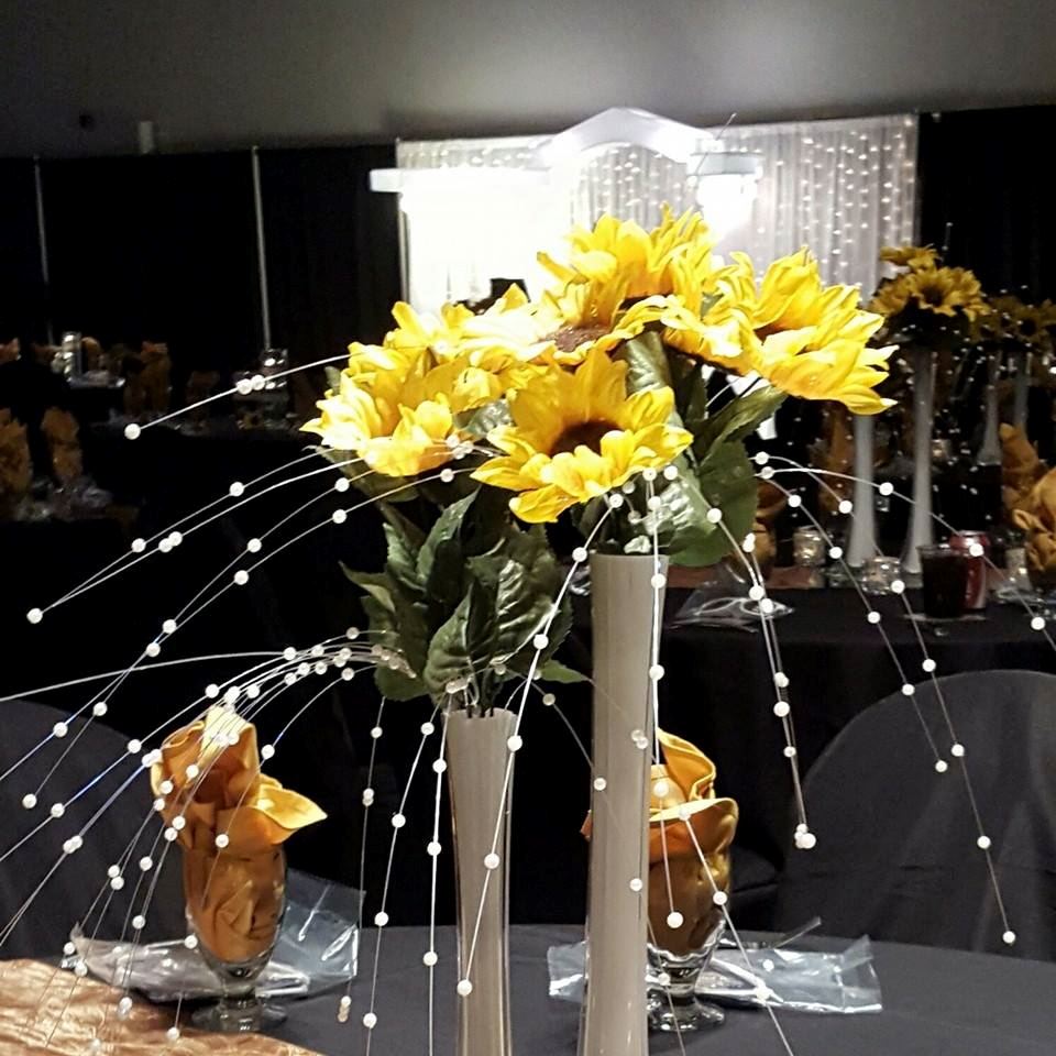 Paroquet Springs - 1