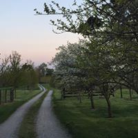 Old Blue Ribbon Farm - 5