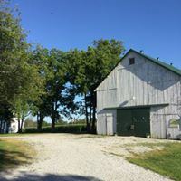 Old Blue Ribbon Farm - 7