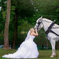 Southern Springs Events - 1