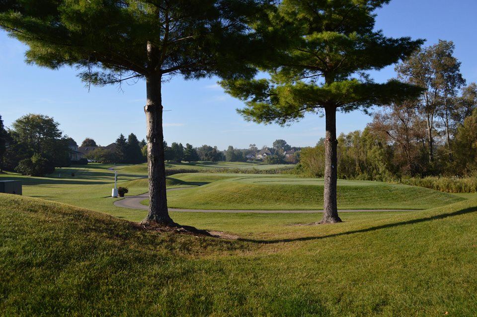 The Polo Fields - Ann Arbor - 7