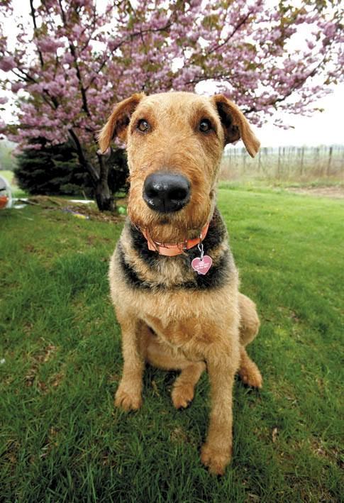 Sandhill Crane Vineyards - 3