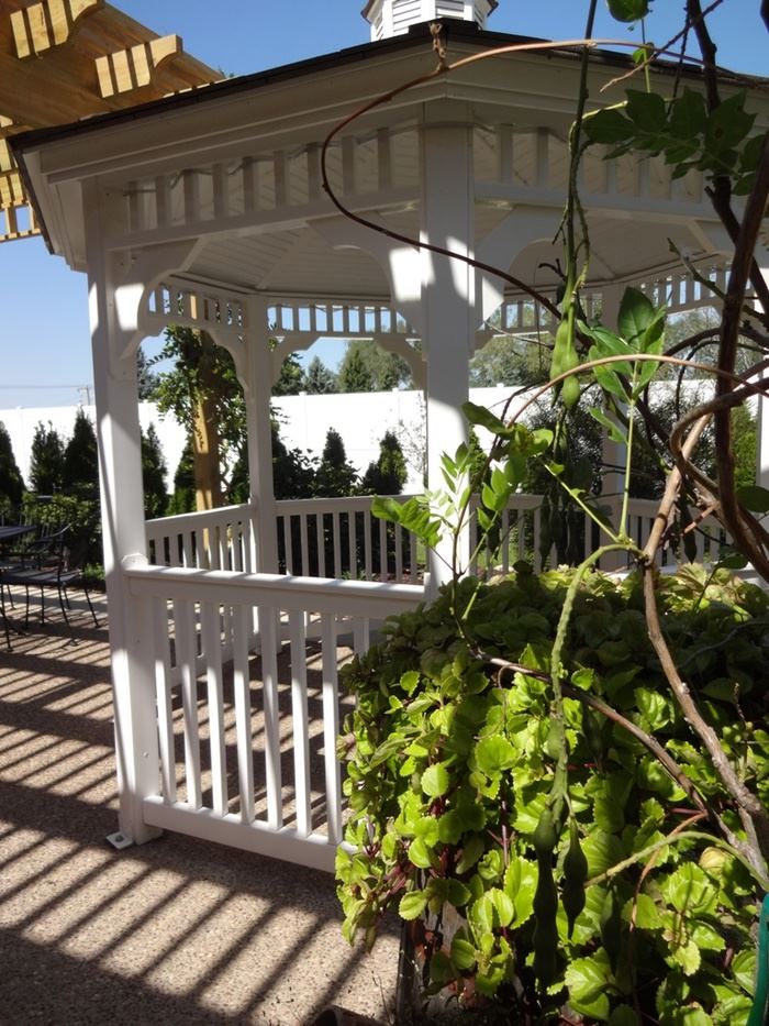 The Avacentre  Cedar Rapids - 2