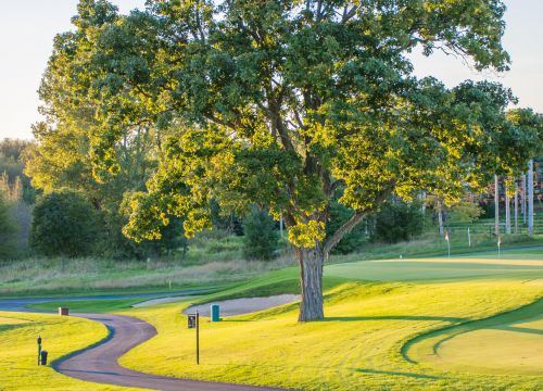 The Oaks Golf Course - 3