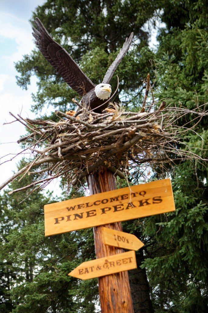 Pine Peaks Event Center - 7