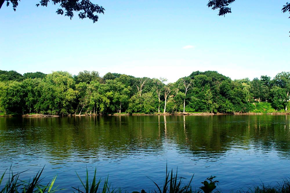 Leopold's Mississippi Gardens - 1