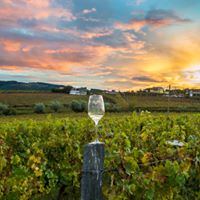 Ivy Boutique Hotel - 3