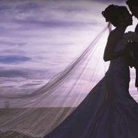 Pheasant Run Resort - 1