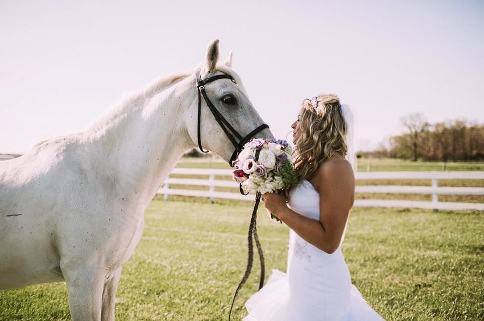 Palomino Ballroom - 1