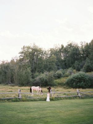 Wildflower Gardens - 4