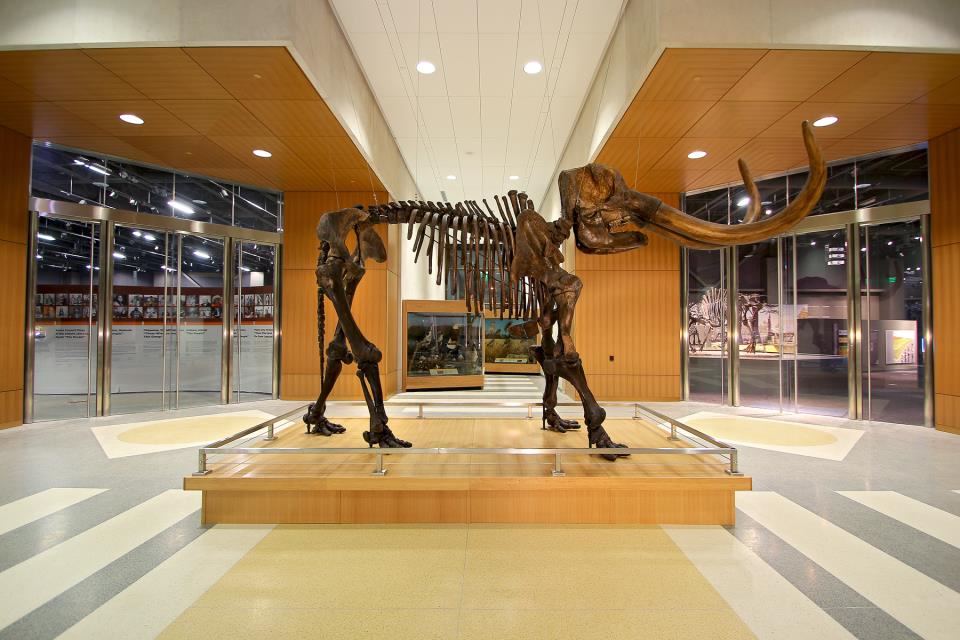 North Dakota Heritage Center - 5