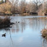 Kathryn Albertson Park - 3