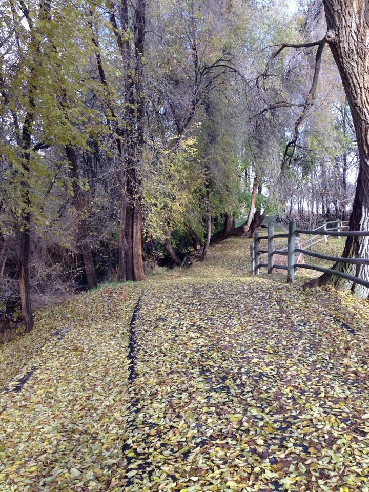 Nampa City Parks and Recreation - 3