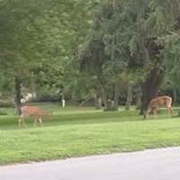 St. John Vianney Catholic Church - 4