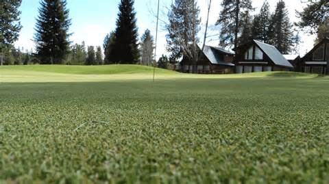 McCall Golf Club - 4