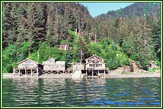 Alaska's Sadie Cove Wilderness Lodge - 7