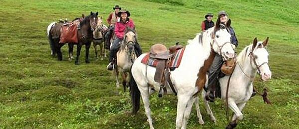 Alaska Horsemen Trail Adventures - 6