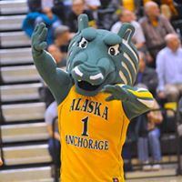 Wendy Williamson Auditorium - 4