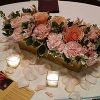 Pavilion 75 Event Space - 1