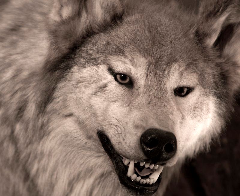 The Lakefront Anchorage - 7