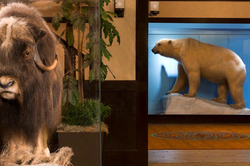 The Lakefront Anchorage - 4