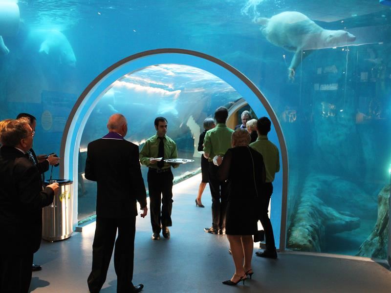 Qualico Family Centre - 5