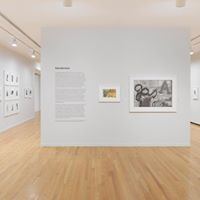 Vancouver Art Gallery - 5