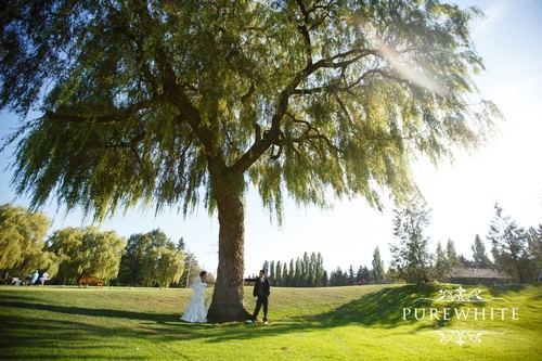 Marine Drive Golf Club - 1