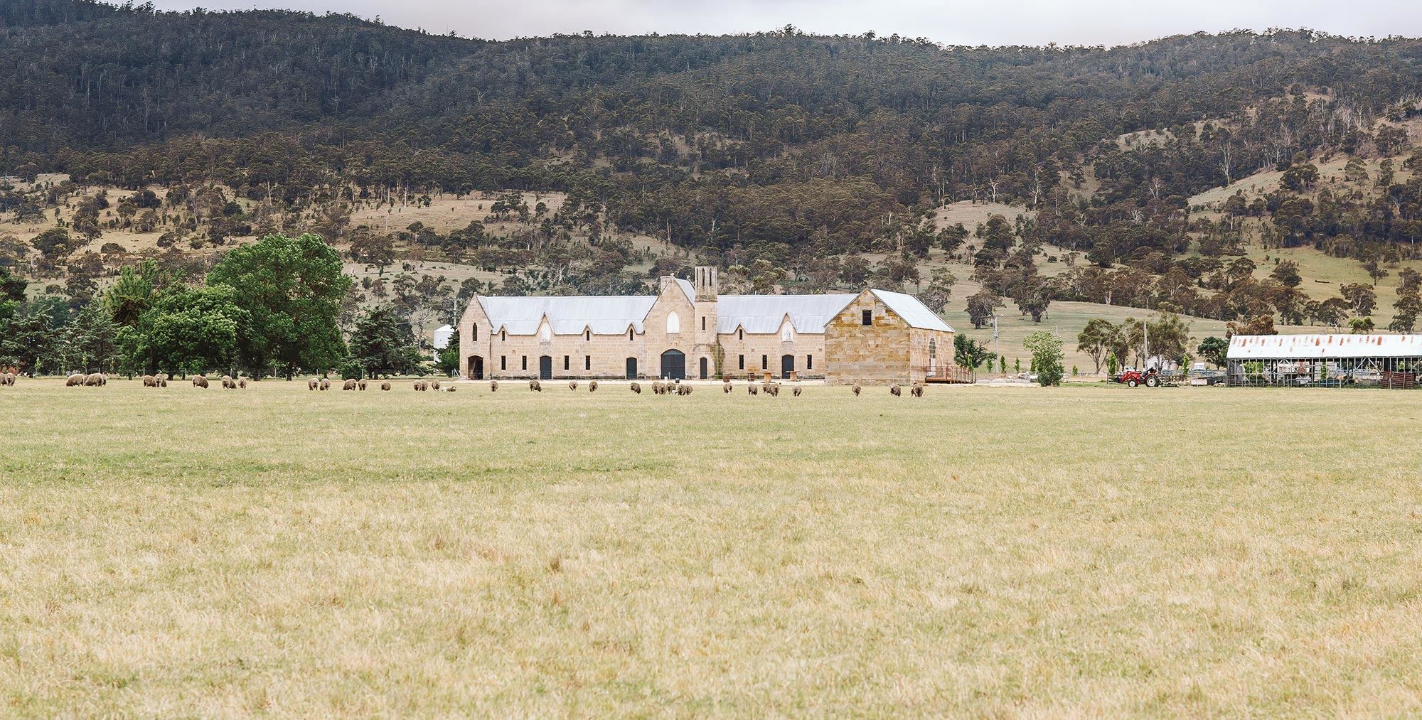 Shene Estate and Distillery - 5