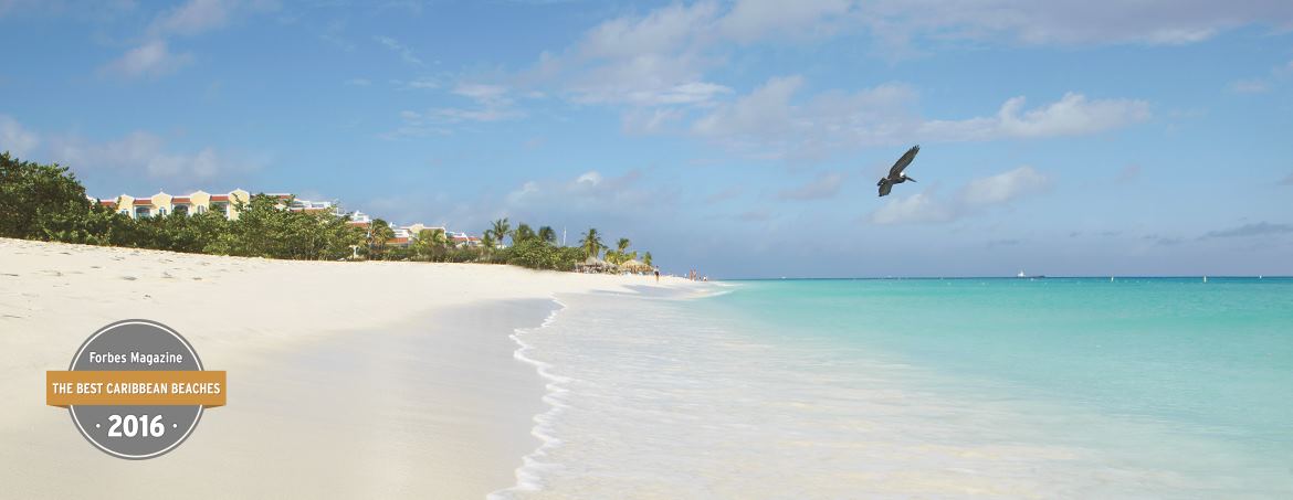 Manchebo Beach Resort and Spa - 7