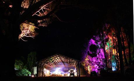 Wharncliffe Mill Bush Retreat - 1