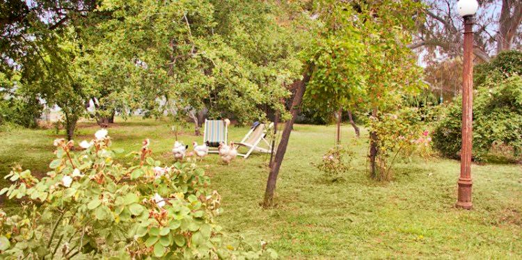 The Diggers Store - 1