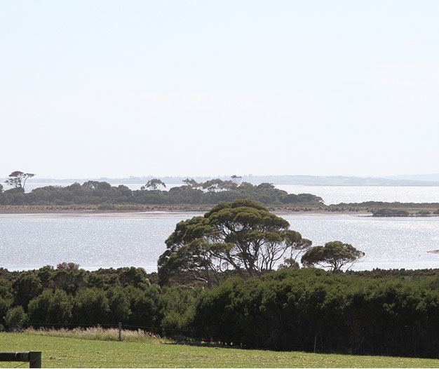 Island Bay Ranch - 3