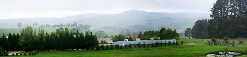 Seclusions Blue Mountains - 2