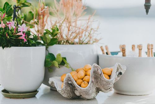 The Boathouse Palm Beach - 7