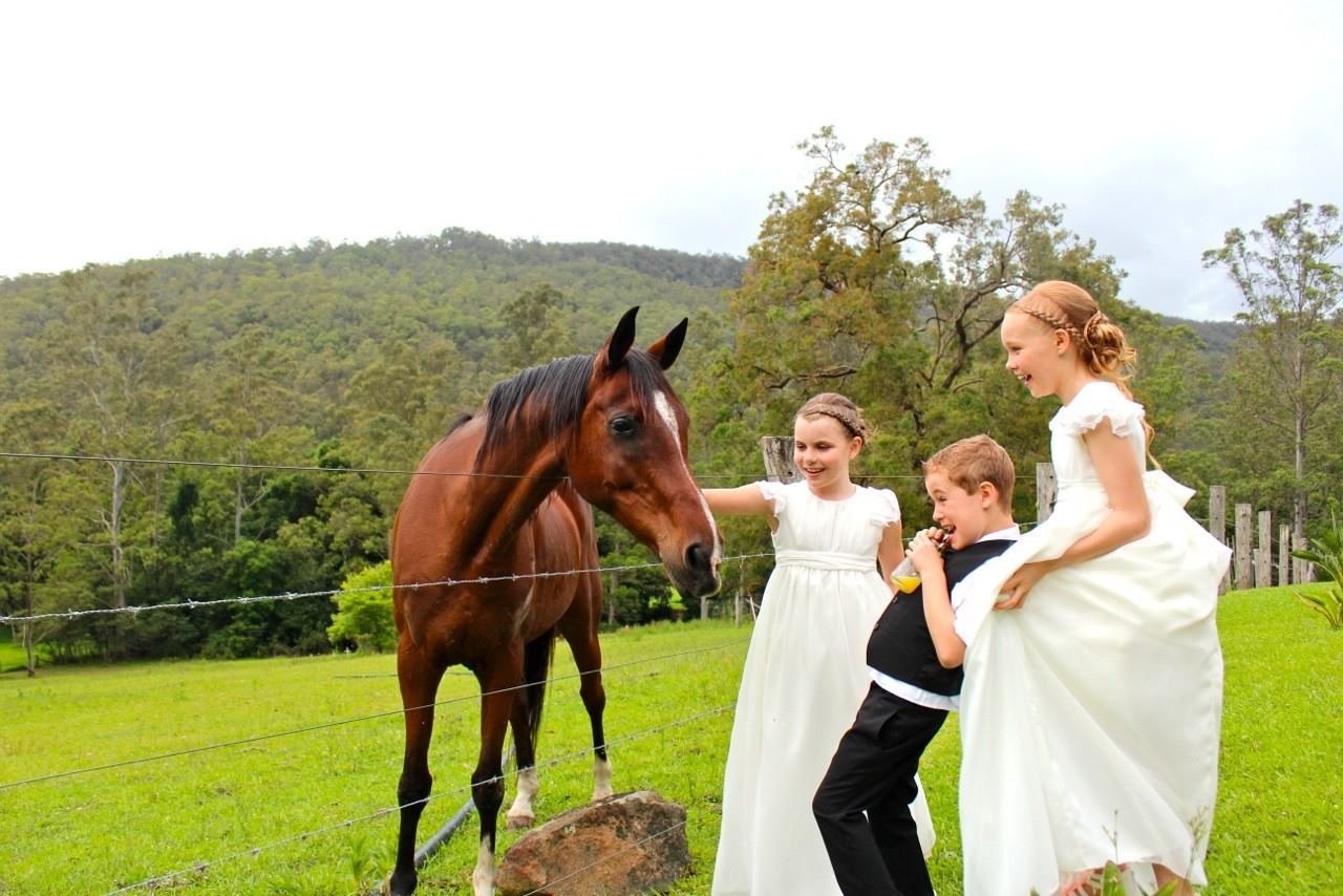 Greenfield Farm Estate - 4