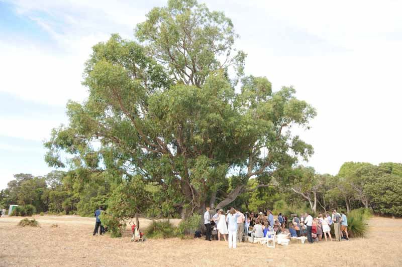 Solitaire Homestead - 6