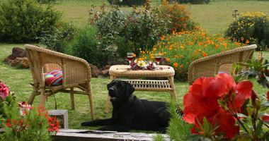 Silversprings Cottages Wedding and Wine - 5