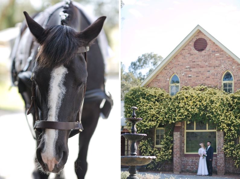 St Edwards of the Riverina - 7