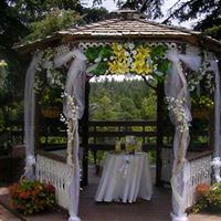 The Lodge Resort And Spa - 1