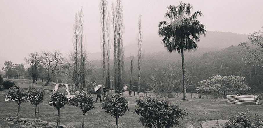 Spring Grove Dairy - 4